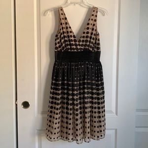NWT Anthropologie Burlapp polka dot dress size 4
